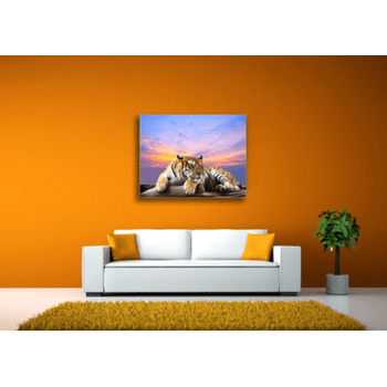 Tablou canvas, tigru siberian, printly, 100x70cm