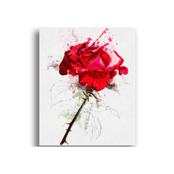 Tablou canvas, red rose, printly, 100x70cm