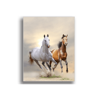Tablou canvas, horses in dust, printly, 100x70cm