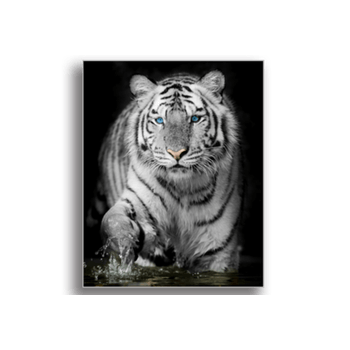 Tablou canvas, white tiger, printly, 100x70cm