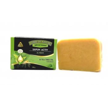 Sapun activ de neem cu tea tree oil 100 g