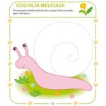 Jocuri si exercitii distractive 1 Editura Kreativ EK4598 fotografia produsului View 12 S