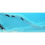 Ferma de furnici Ikonka IK17738 fotografia produsului View 6 S