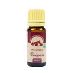 Ulei esential de Cuisoare (Eugena caryophyllata) 100 % pur fara adaos, 10 ml fotografia produsului