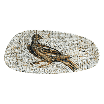 Platou dreptunghiular portelan bonna mesopotamia pajaro 36cm