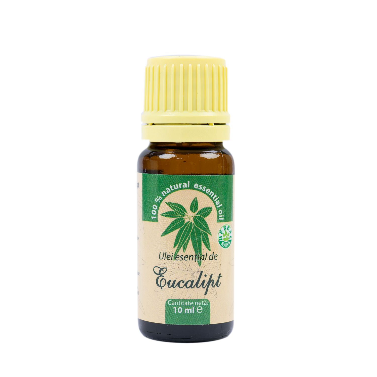 Ulei esential de Eucalipt (eucalyptus globulus), 100% pur fara adaos, 10 ml fotografia produsului