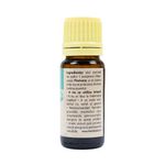 Ulei esential de Cedru (Juniperus mexicana) 100% pur fara adaos, 10 ml fotografia produsului View 5 S