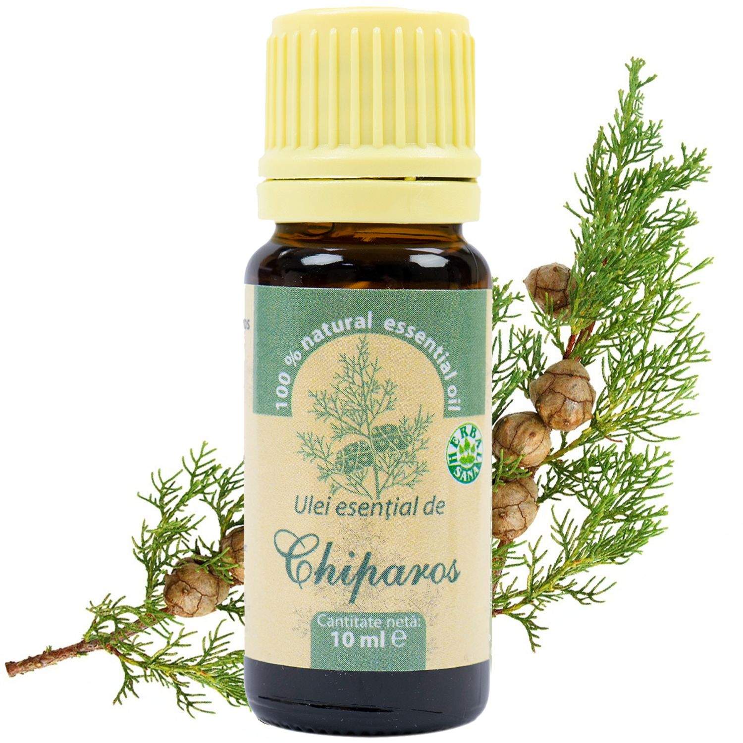 Ulei esential de Chiparos (Cupressus Sempervirens) 100 % pur fara adaos, 10 ml fotografia produsului View 6 L