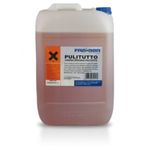 Detergent curatare interior Pulitutto 25kg fotografia produsului