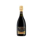 Vin Lambrusco Donelli Emilia Rosso 0.75L fotografia produsului