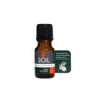 Ulei esențial pin ( pinus sylvestris ) pur 100% organic ecocert