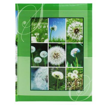 Album foto Bloom ProCart 100 fotografii format 10x15 buzunare slip in verde