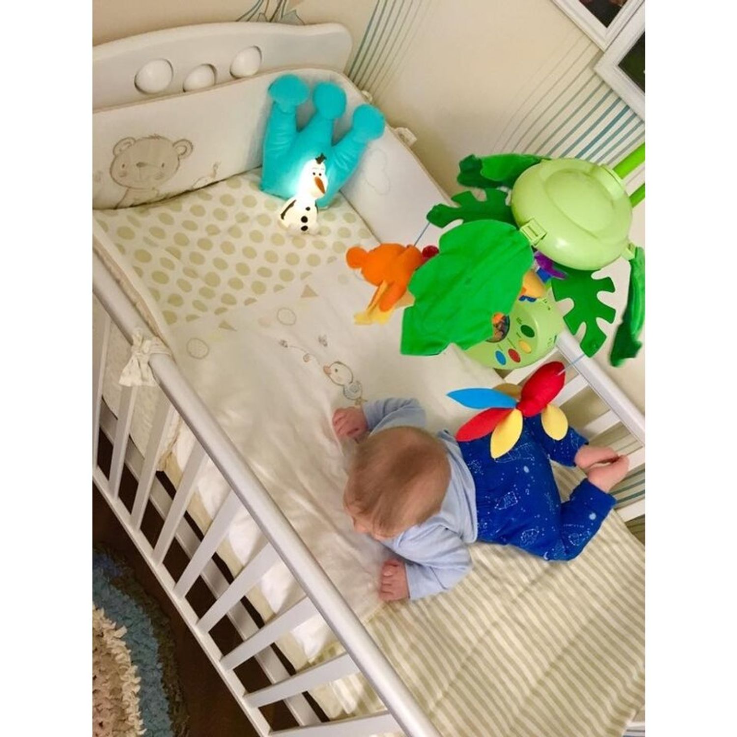 e92c81f3-b50f-4b0e-8c80-51b764db83a3 фото продукта View 7 L