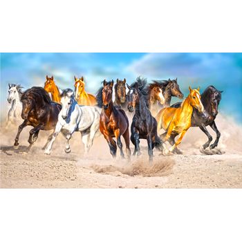 Tablou, arlata word mag, animale, cai 1248, hol, rama lemn, multicolor, 120x80 cm, full hd