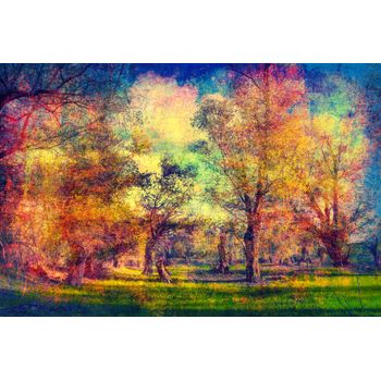Tablou, arlata word mag,dormitor,living,copaci,padure 1265, rama lemn, multicolor,80x50 cm
