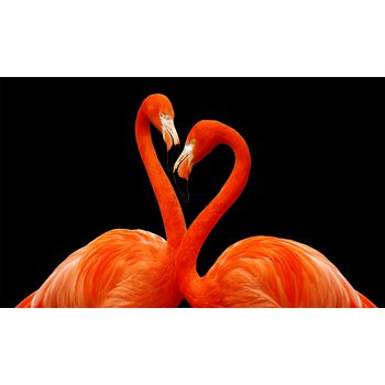 Tablou,arlata word mag,dormitor,living,flamingo1275,rama lemn,multicolor,150x90 cm