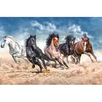 Tablou, arlata word mag, animale, cai 1247, hol, rama lemn, multicolor, 80x50 cm, full hd
