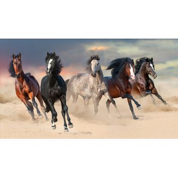 Tablou, arlata word mag, animale, cai 1127, rama lemn, multicolor, 150x90 cm, full hd