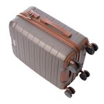 Troler Leaf Maro 55*35*22 Cm, Ella Icon fotografia produsului View 6 S