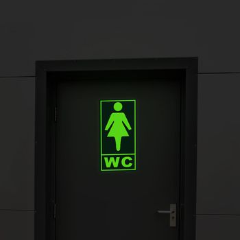 Semn de informare fosforescent WC femei, ProCart elefant.ro imagine noua 2022