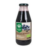 Nectar de afine fara zahar 500ml fotografia produsului
