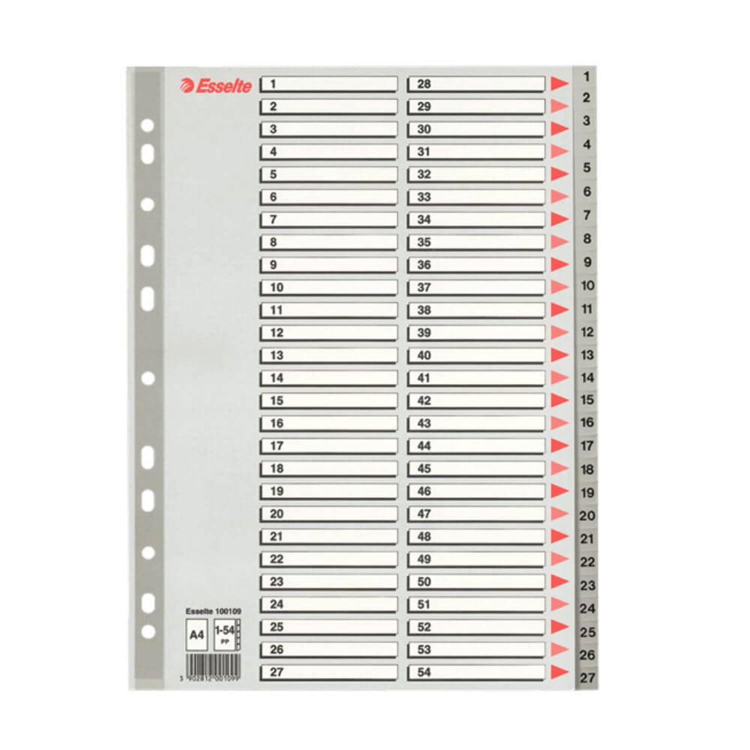 Index A4 Esselte, cu 54 Separatoare fotografia produsului