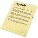 Mapa Protectie Cristal A4 Esselte, 150 Microni, PVC, LCMES55431 fotografia produsului