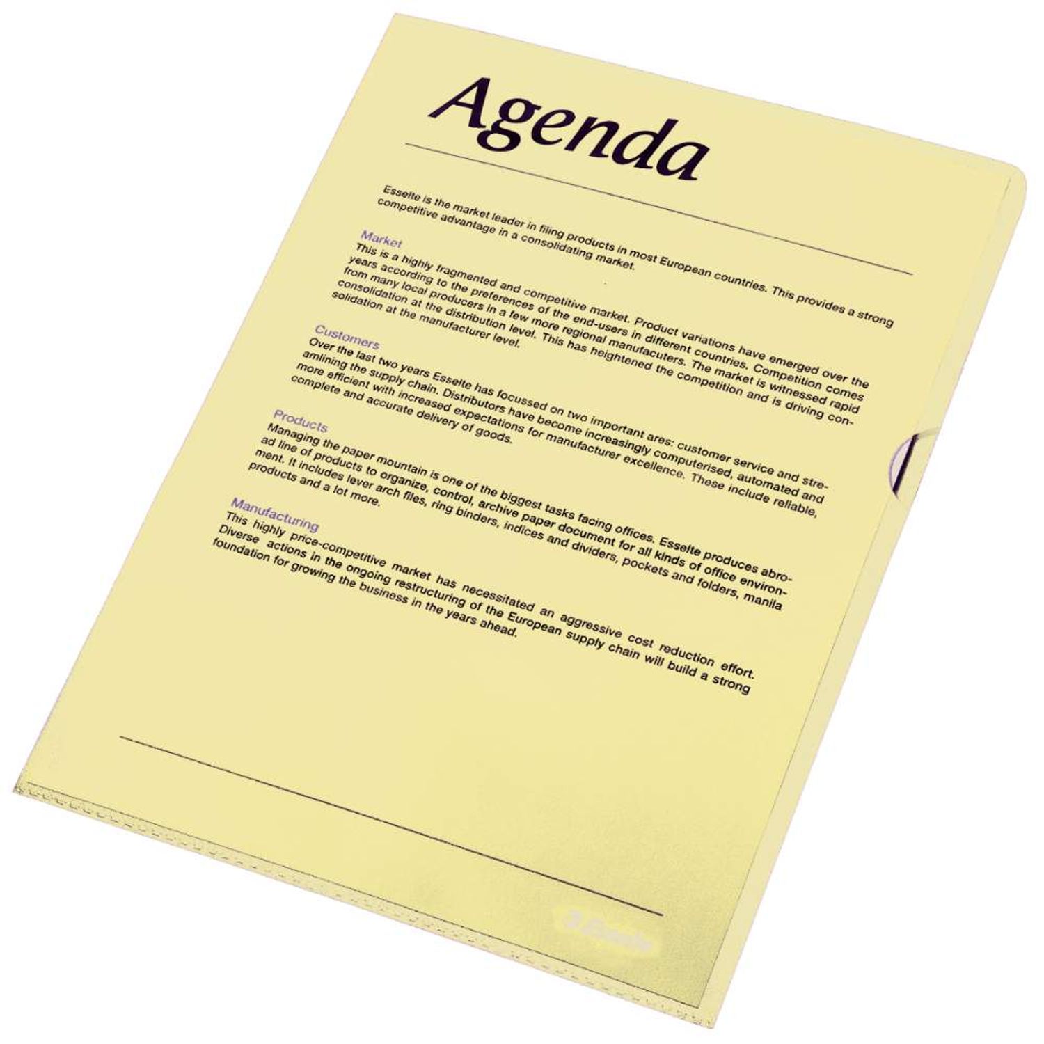 Mapa Protectie Cristal A4 Esselte, 150 Microni, PVC, LCMES55431 fotografia produsului