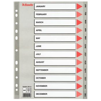Index A4 Esselte, cu 12 Separatoare Ian-Dec