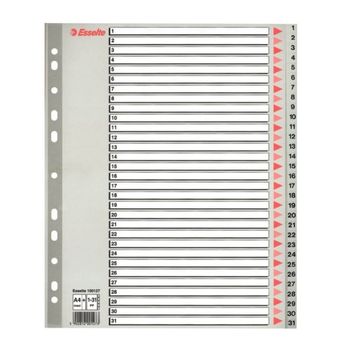 Index A4 Maxi Esselte, cu 31 Separatoare