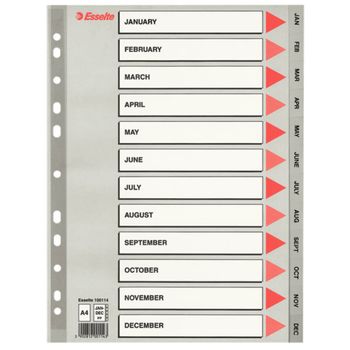 Separatoare Index din Carton Esselte Mylar, A4, Carton , LCMES100165