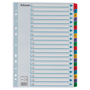Separatoare index din carton esselte mylar, a4, carton , lcmes100163