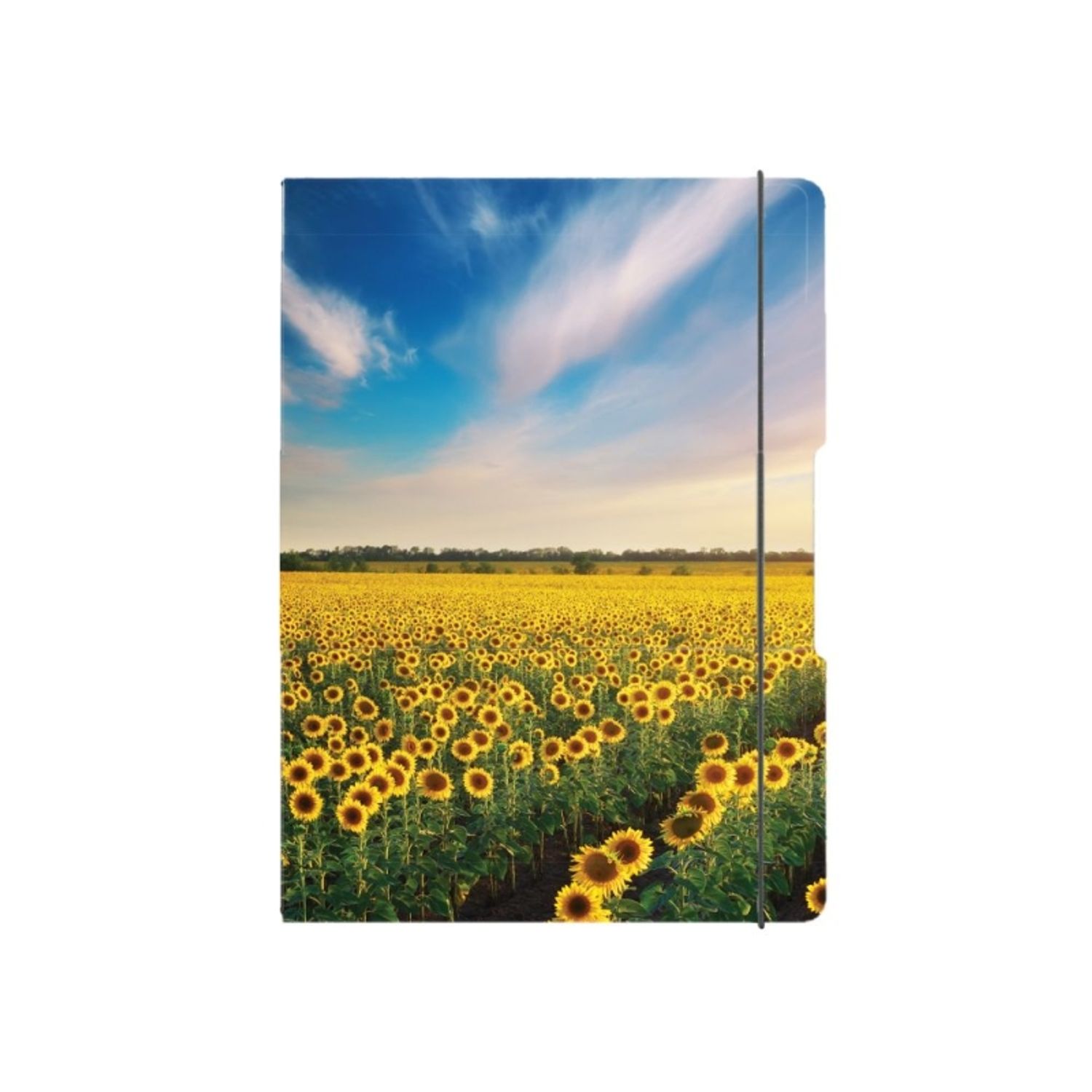 Caiet My.book Flex A5 40f 70gr, Patratele fotografia produsului