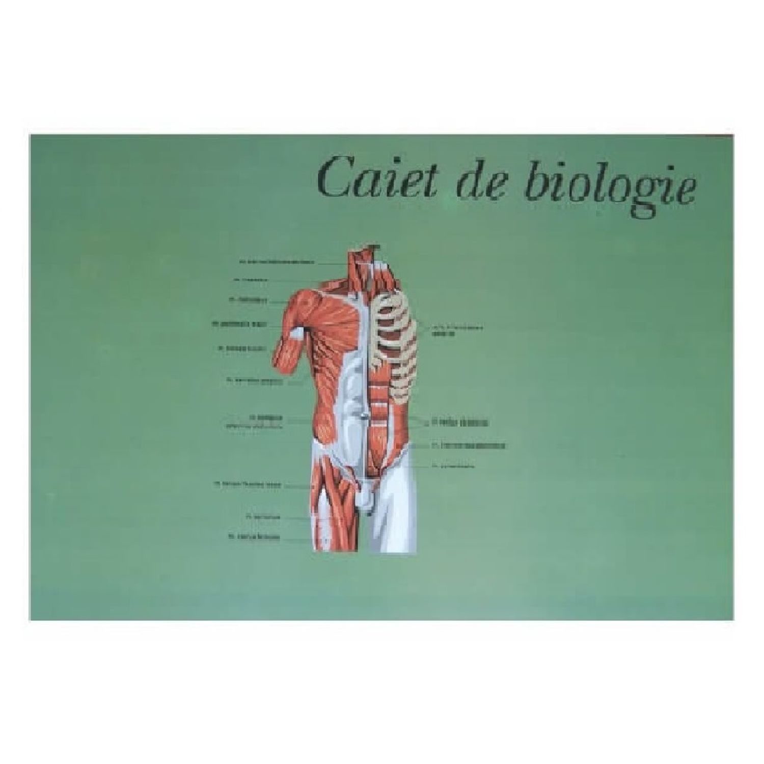 Caiet Biologie Format A4, 24 File fotografia produsului