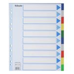 Index A4 Maxi Esselte, Plastic fotografia produsului