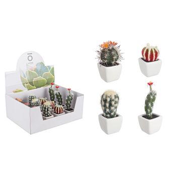 Set 4 plante suculente in ghiveci ceramica, cactus, multicolor