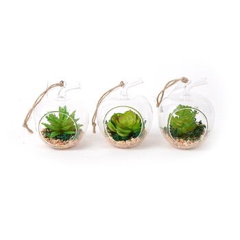Set 3 plante decorative in glob sticla, forma mar, 8x10 cm