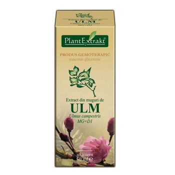 Extract din muguri, de ulm 50 ml (ULMUS CAMPESTRIS) – Plantextrakt elefant.ro Nutrition