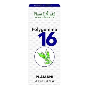 Polygemma nr. 16 – Plamani, – Plamani – 50 ml – Plantextrakt PlantExtrakt elefant