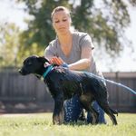 Manusa Speciala pentru Spalat Animale fotografia produsului View 3 S