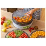 Deshidrator de alimente Sencor SFD 2105WH, 250 W, 5 tavi, Alb/Verde fotografia produsului View 6 S