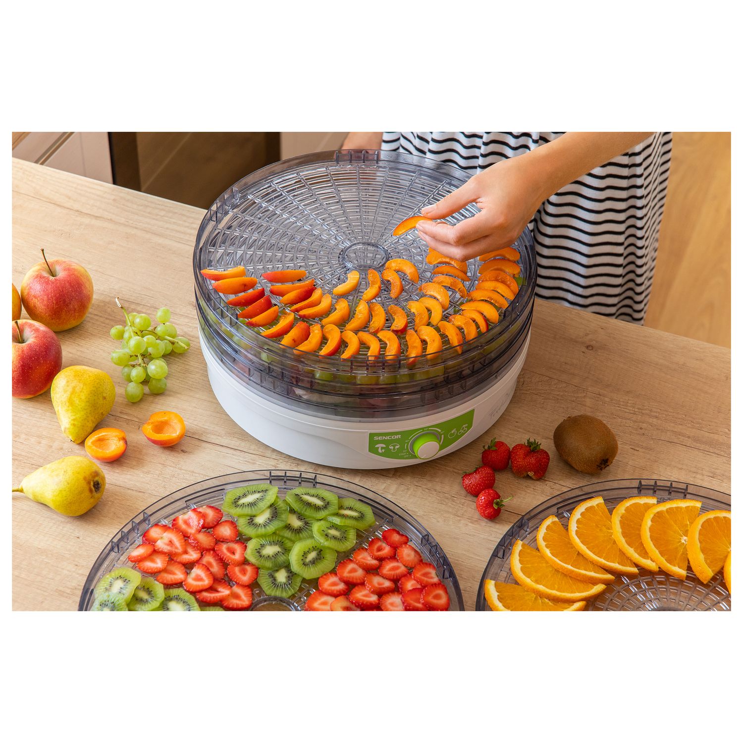 Deshidrator de alimente Sencor SFD 2105WH, 250 W, 5 tavi, Alb/Verde fotografia produsului View 6 L