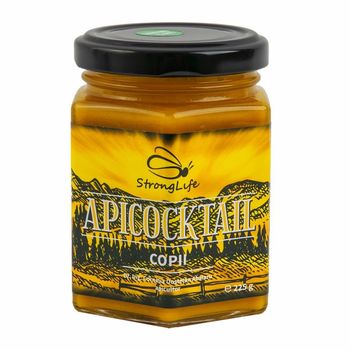 ApiCocktail® Copii – mix apicol pentru imunitate by Dr. Ing. Cornelia Dostetan Abalaru apicultor – 225g Apicocktail Apicocktail