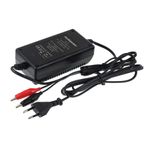 Incarcator acumulator pentru acumulatori plumb-acid 12V/1A fotografia produsului
