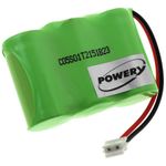Acumulator compatibil Panasonic KX-A40 / model P-P303 fotografia produsului