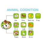 Orga de jucarie interactiva bebe Colorful Keypad fotografia produsului View 2 S