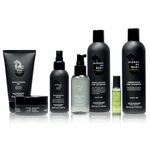 Sampon energizant anti-cadere Alfaparf Energizing Low Shampoo Blends of Many 250 ml фото продукта View 2 S