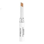 Stick corector purifiant Pate Grise, Payot fotografia produsului