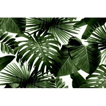 Autocolant Abstract frunze 270 x 200 cm