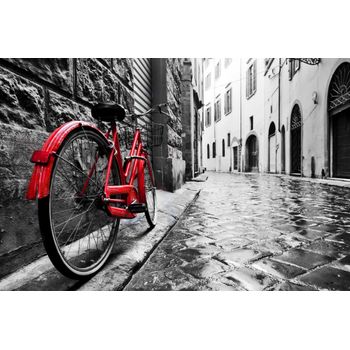 Fototapet Bicicleta rosie, strada cu piatra cubica, retro, 250 x 200 cm Blueback MAT imagine noua 2022